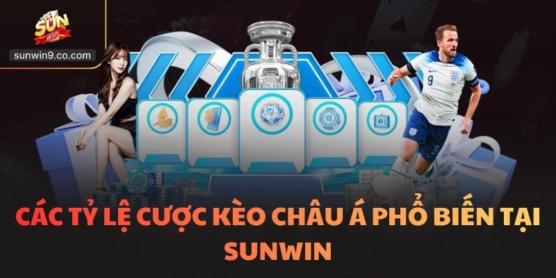 Kèo Châu Á - Chiến Lược Giúp Bạn Thắng Dễ Như Trở Bàn Tay 2 Các Tỷ Lệ Cược Kèo Châu Á Phổ Biến Tại Sunwin