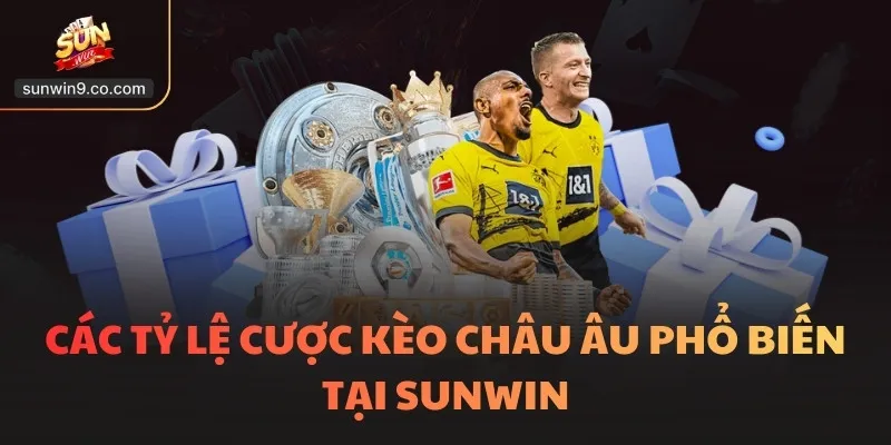 Kèo Châu Âu - Gợi Ý Các Cách Thắng Cược 1X2 Phổ Biến 2 Các Tỷ Lệ Cược Kèo Châu Âu Phổ Biến Tại Sunwin