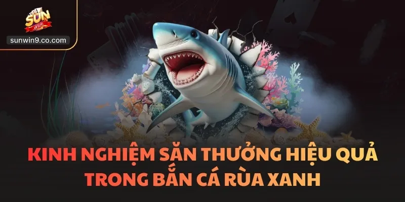 Bắn Cá Rùa Xanh Sunwin - Sức Hút Bí Ẩn Dưới Lòng Đại Dương 3 Kinh Nghiệm Săn Thưởng Hiệu Quả Trong Bắn Cá Rùa Xanh